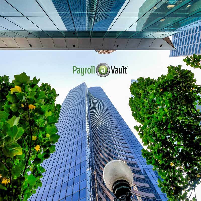 Tricia Petteys Takes the Reins as CEO of Payroll Vault, Igniting a New Era of Growth and Success