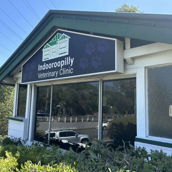 Lightbox signage featuring logo against purple backdrop attached to shopfront for Indooroopilly Veterinary Clinic by Signarama Brendale.
