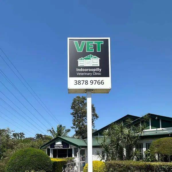 Double sided pylon lightbox signage featuring logo and contact information for Indooroopilly Veterinary Clinic by Signarama Brendale.