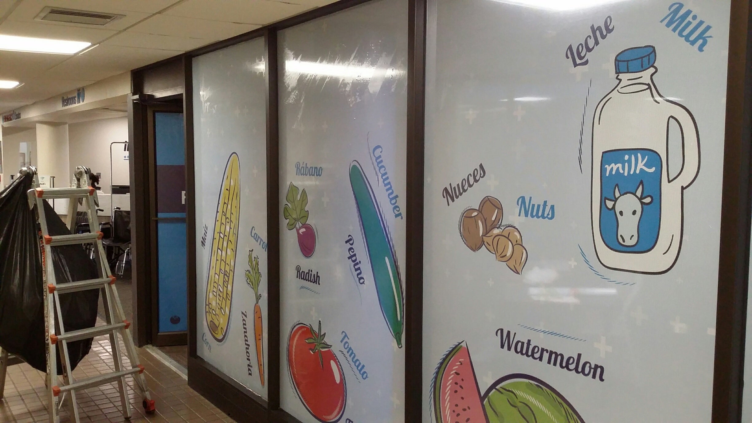 Window Graphics in Glouceter County