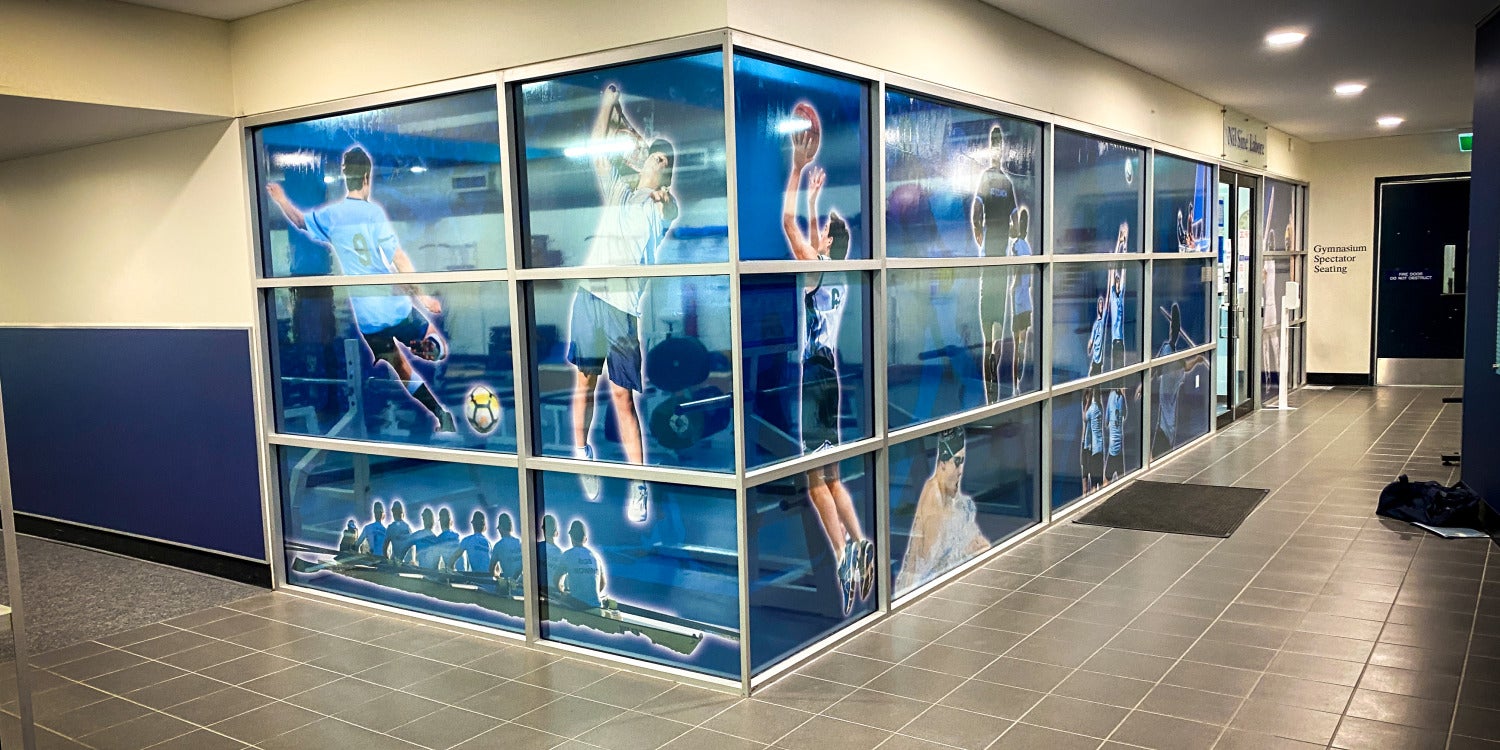 One Way Vision Windows in Springwood
