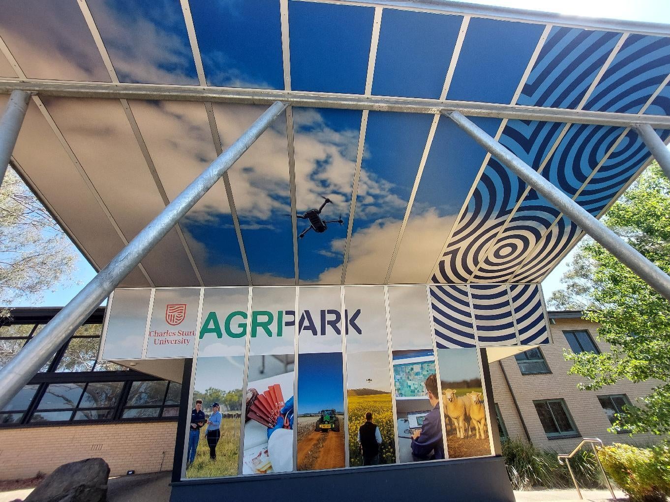 Wall Graphics
