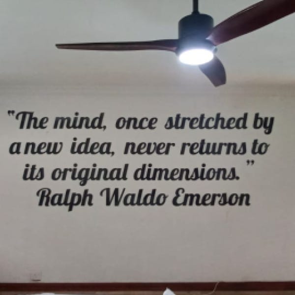 WhatsApp Image 2024-11-12 at 16.03.38