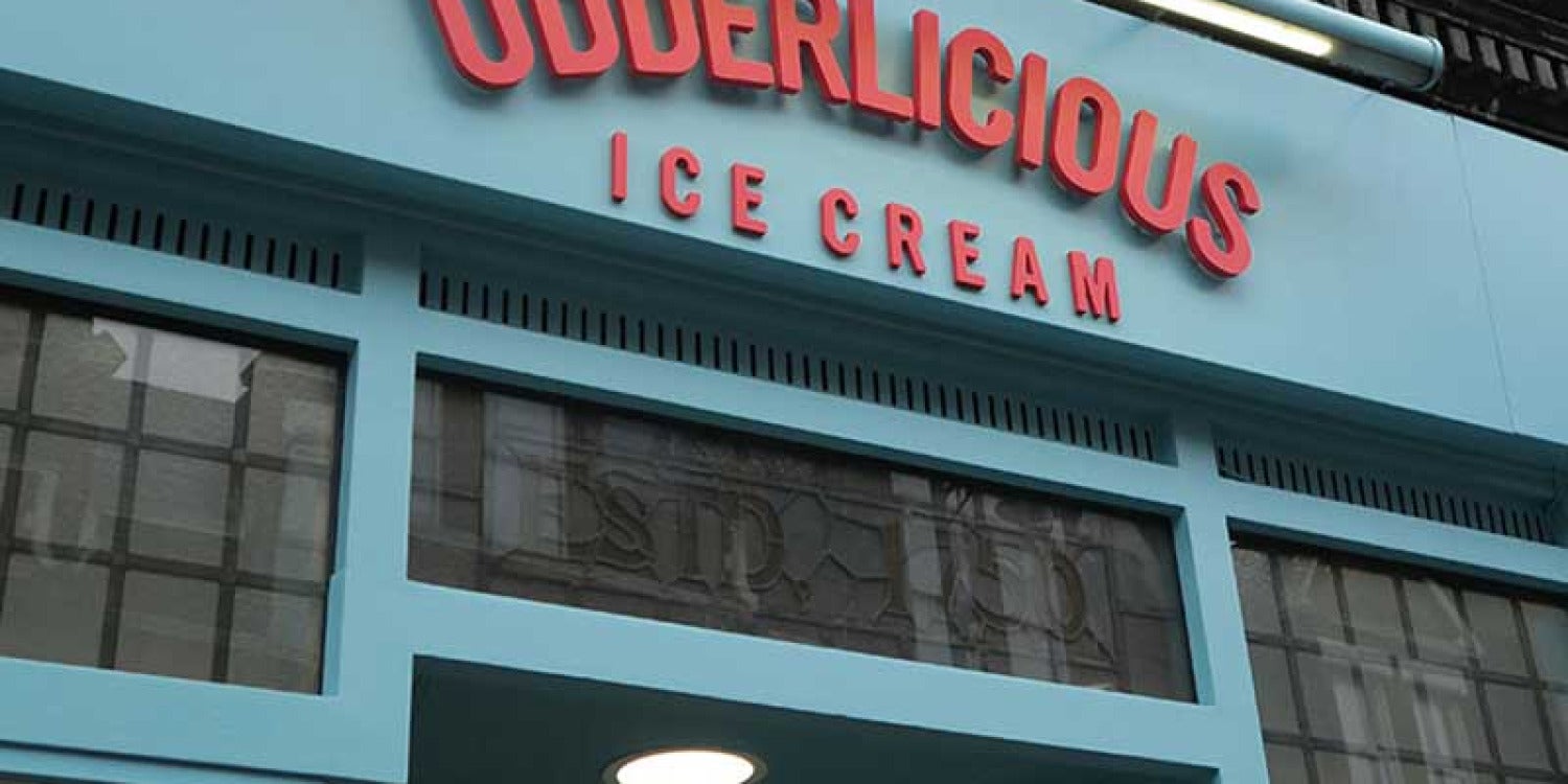 Udderlicious: Defying Winter with Delectable Frozen Treats and Luxurious Ice Cream Cakes