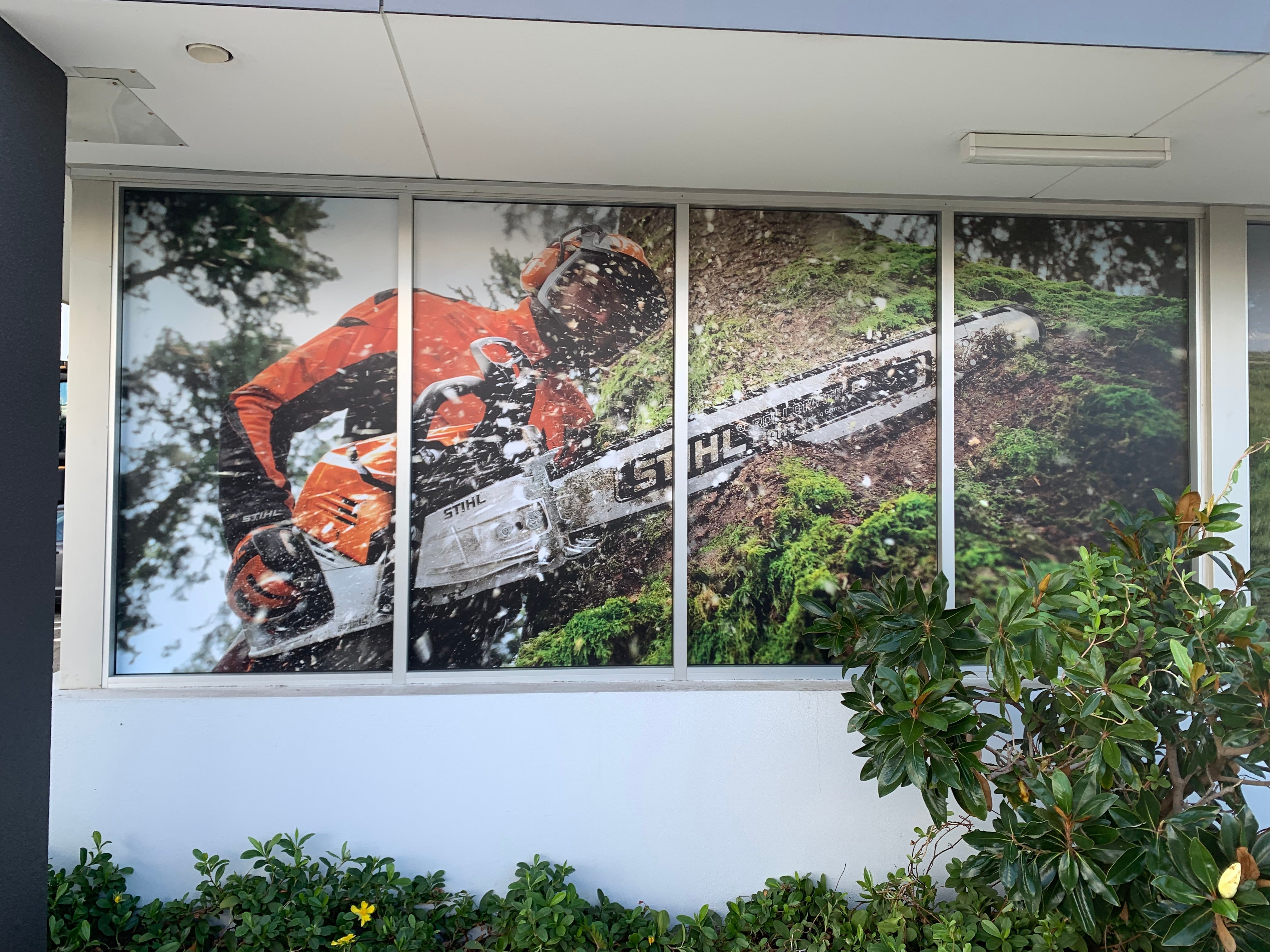 Window Graphics