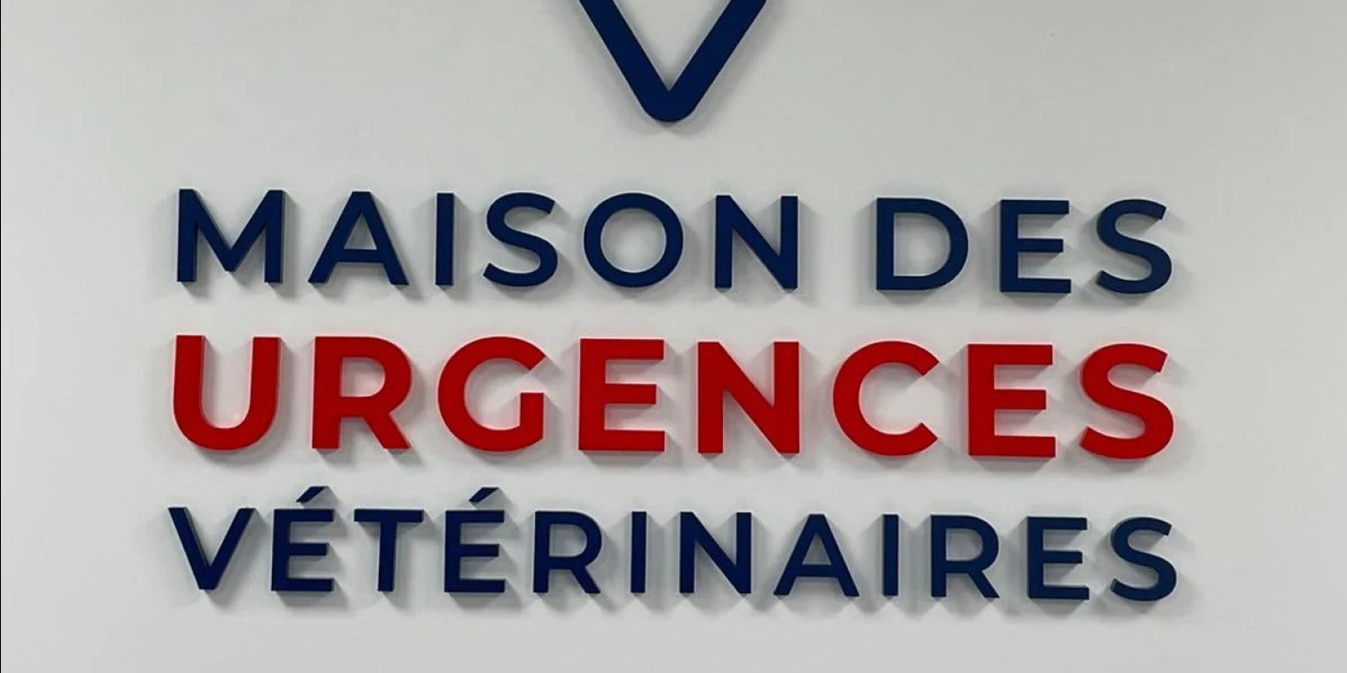 Lettres Découpées