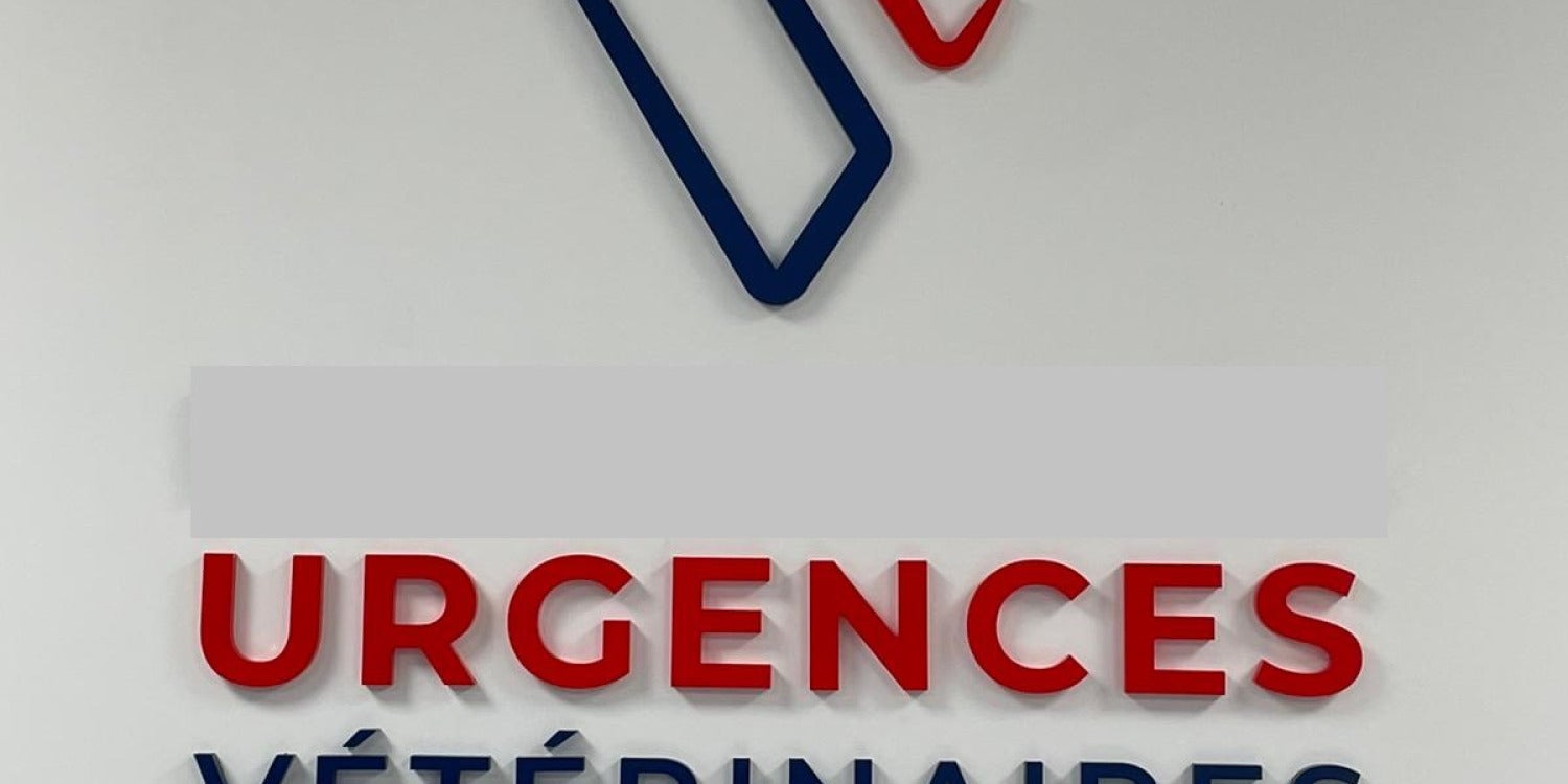 Grand Logo