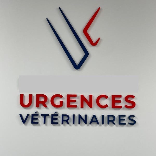 enseigne-lettres-decoupees-signarama-le-mans