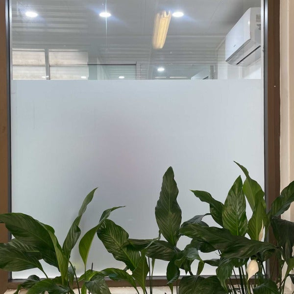 Window Graphics