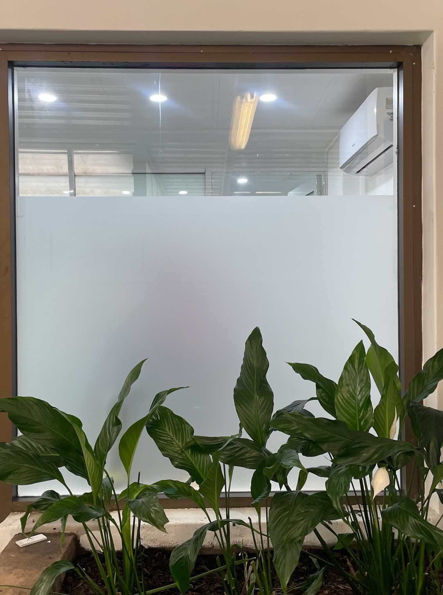 Window Graphics