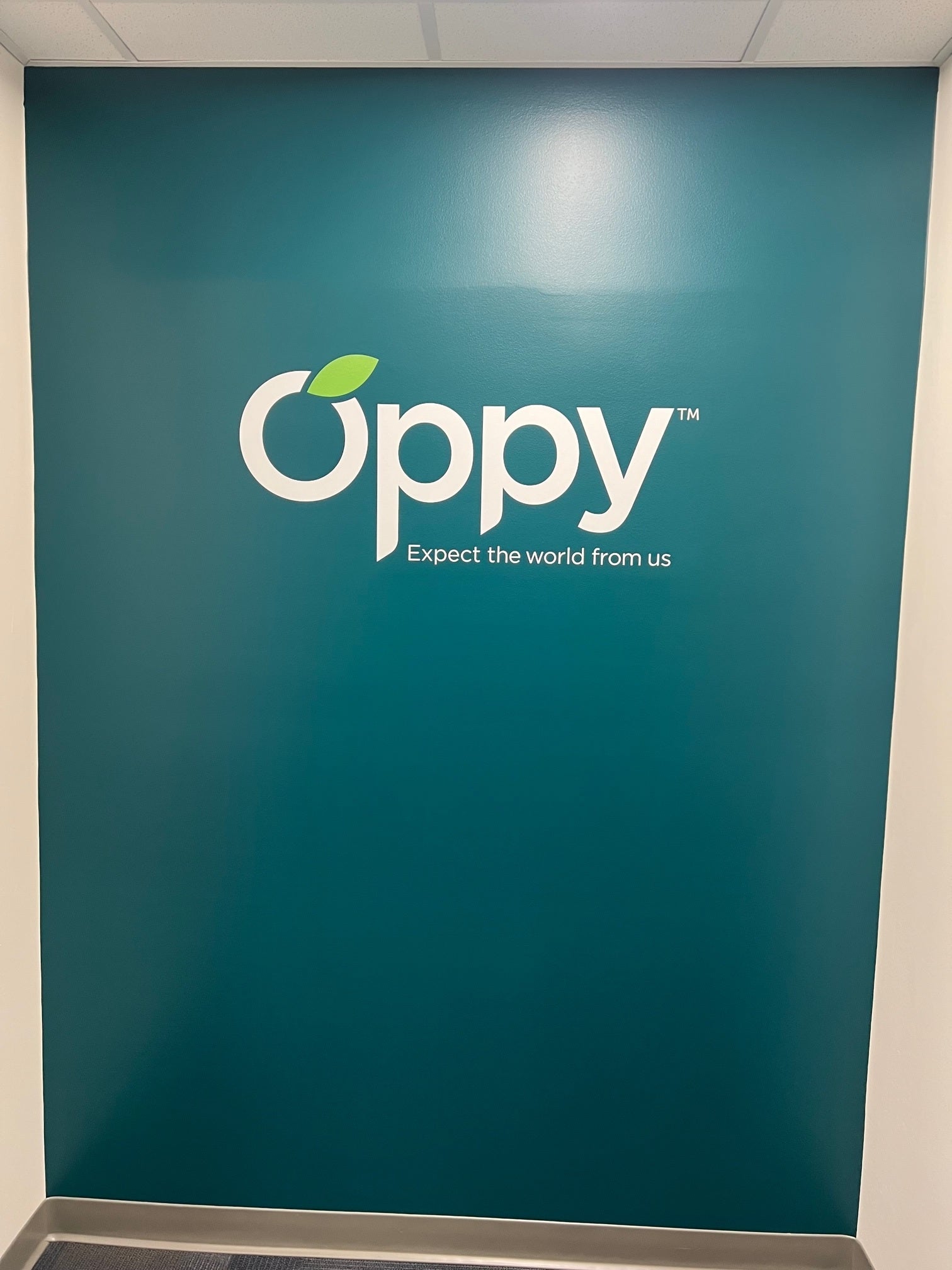 Wall Graphics