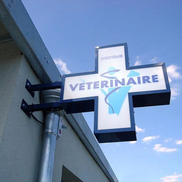 caisson-lumineux-croix-de-clinique-veterinaire-saint-aunes-by-signarama