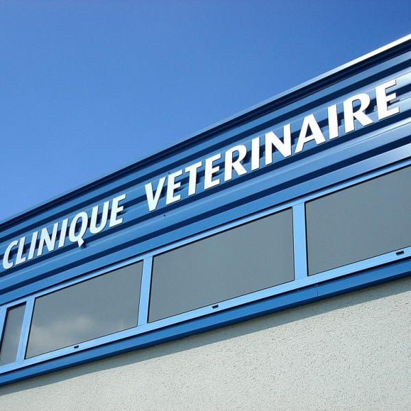 enseigne-lettres-decoupees-relief-clinique-veterinaire-castelnau-le-lez-by-signarama