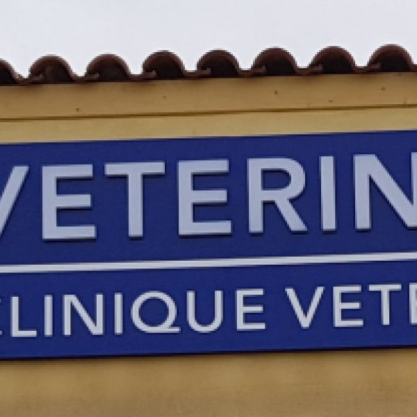 enseigne-lumineuse-clinique-veterinaire-saint-bres.jpeg