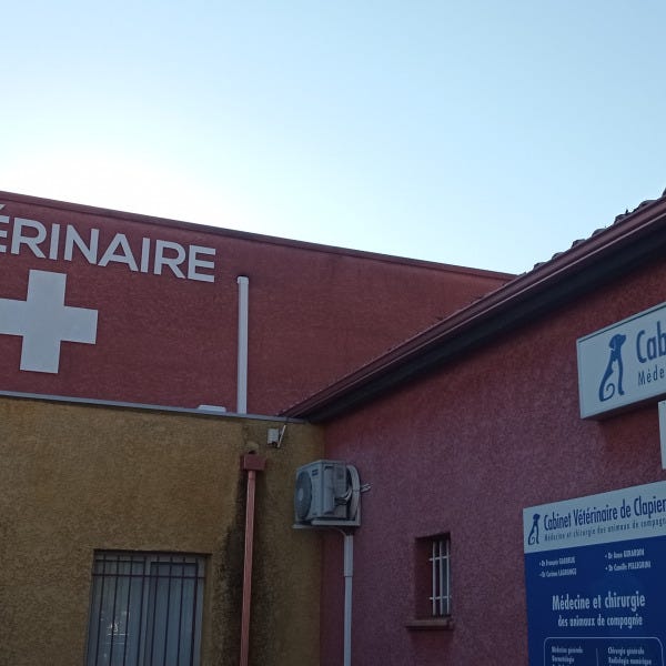 enseigne-clinique-veterinaire-clapiers-by-signarama-montpellier