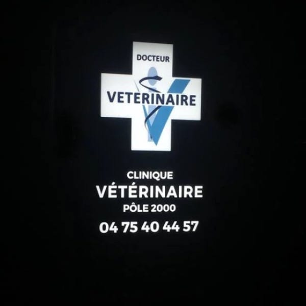 enseigne-lumineuse-croix-clinique-veterinaire-saint-jean-de-vedas-by-signarama