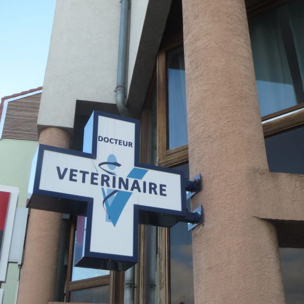 croix-veterinaire-signarama-montpellier-saint-aunes