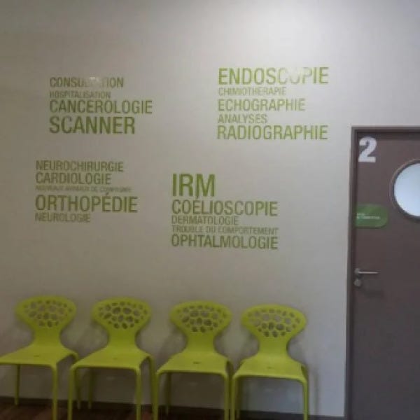 sticker-mural-salle-d-attente-clinique-veterinaire-perols-by-signarama
