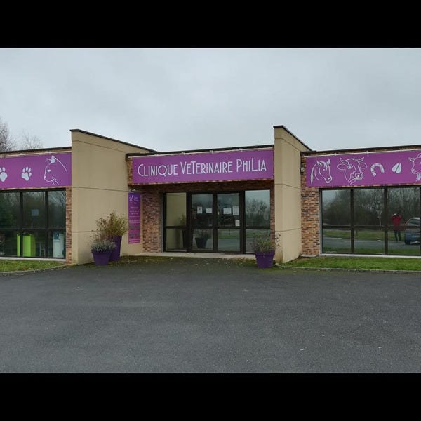 enseigne-veterinaire-signarama-le-cres