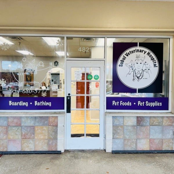 Pantone-Matched Window Graphics