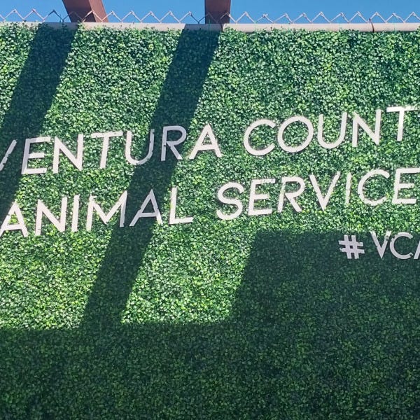 custom-outdoor-signs-Ventura.jpg