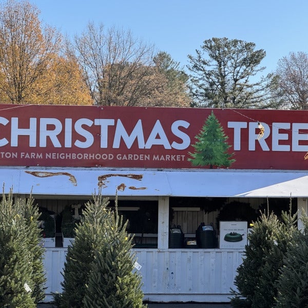 Festive Signage for Reston Farm’s Christmas Tree Lot!