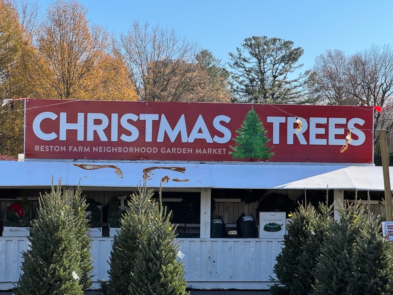Festive Signage for Reston Farm’s Christmas Tree Lot!