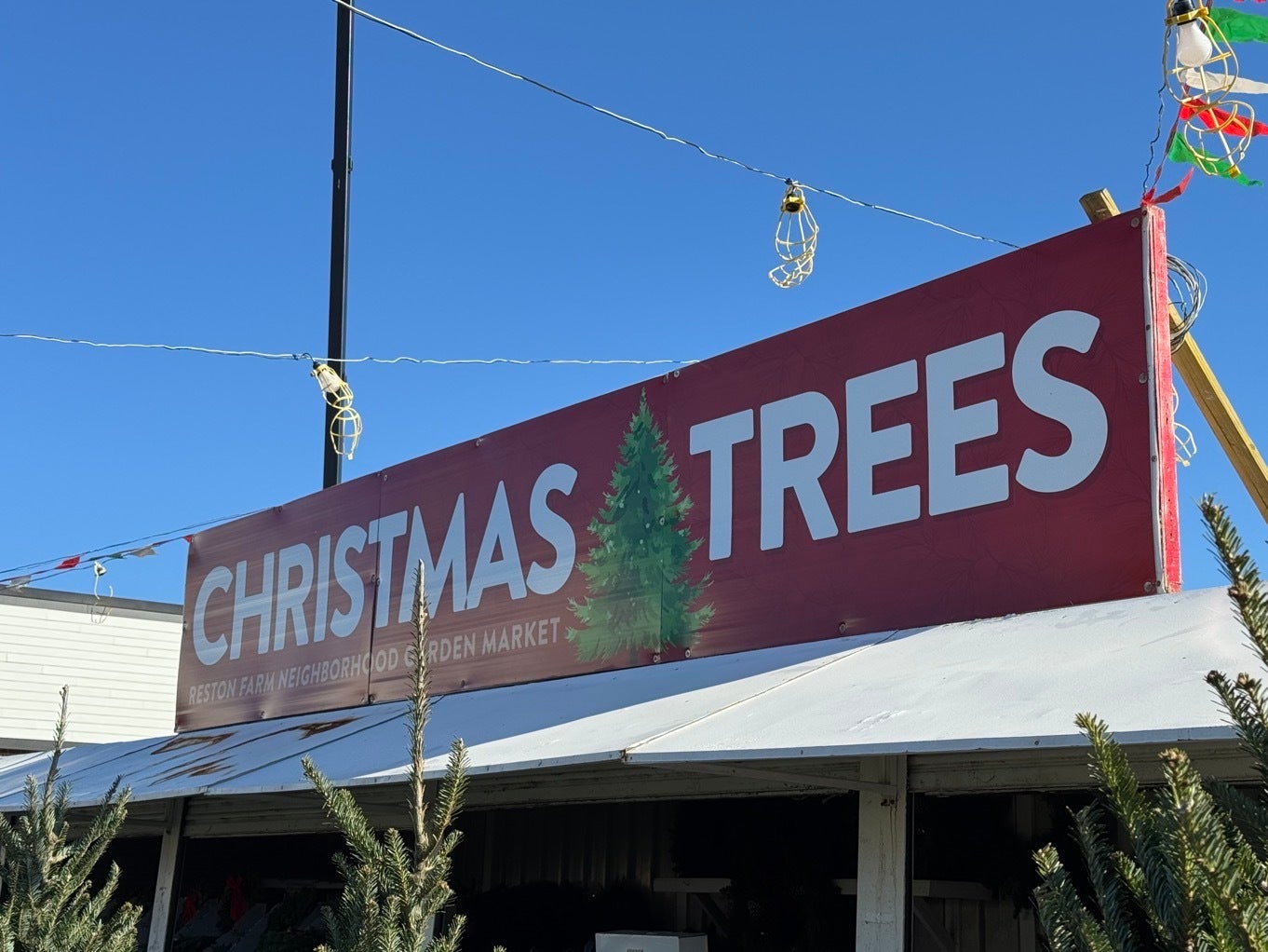 Festive Signage for Reston Farm’s Christmas Tree Lot!