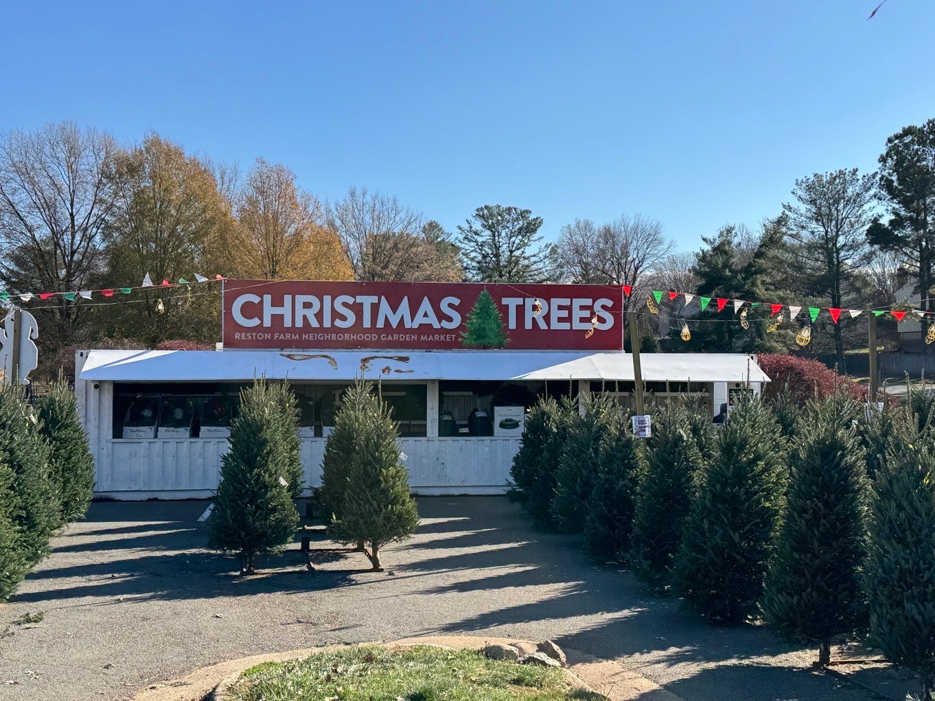 Festive Signage for Reston Farm’s Christmas Tree Lot!