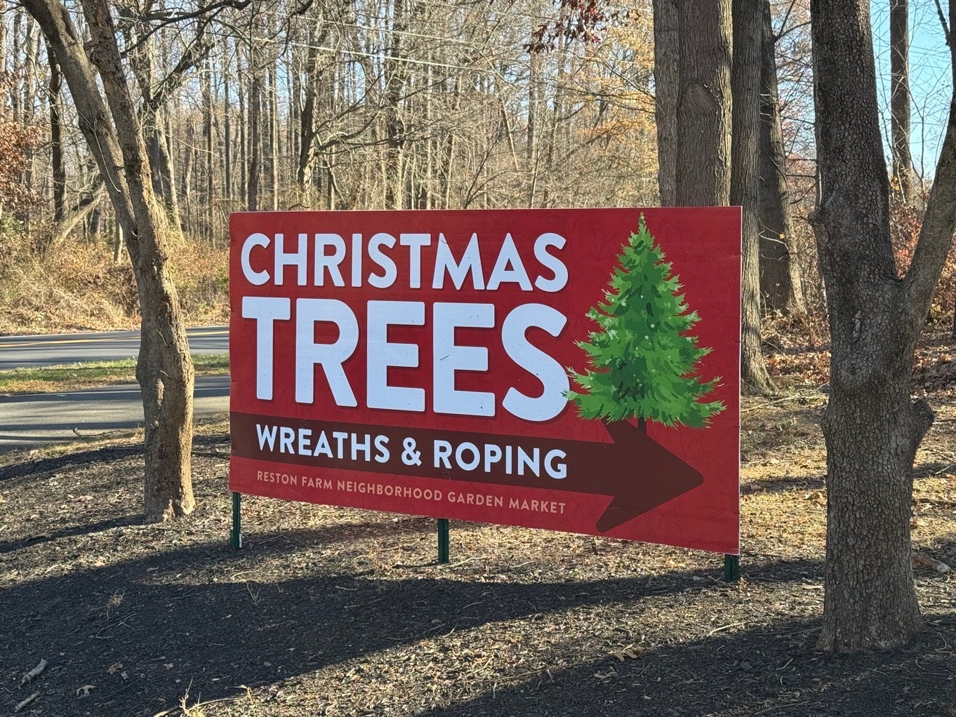 Festive Signage for Reston Farm’s Christmas Tree Lot!