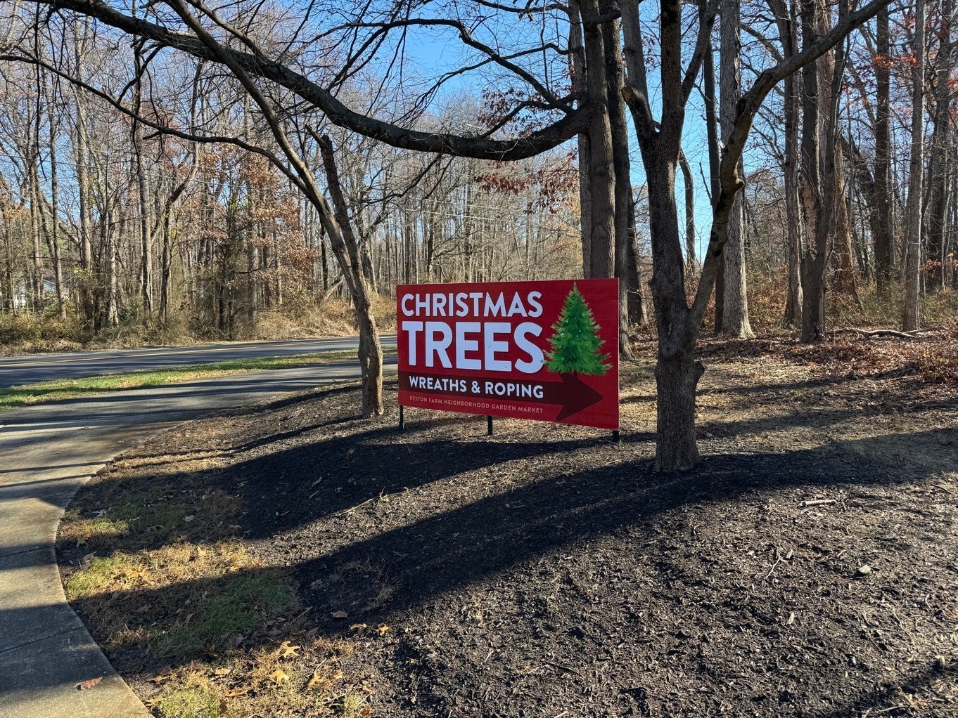 Festive Signage for Reston Farm’s Christmas Tree Lot!