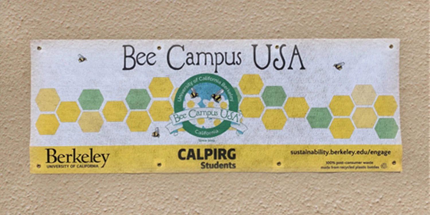 Sustainability Trends in the Signage Industry