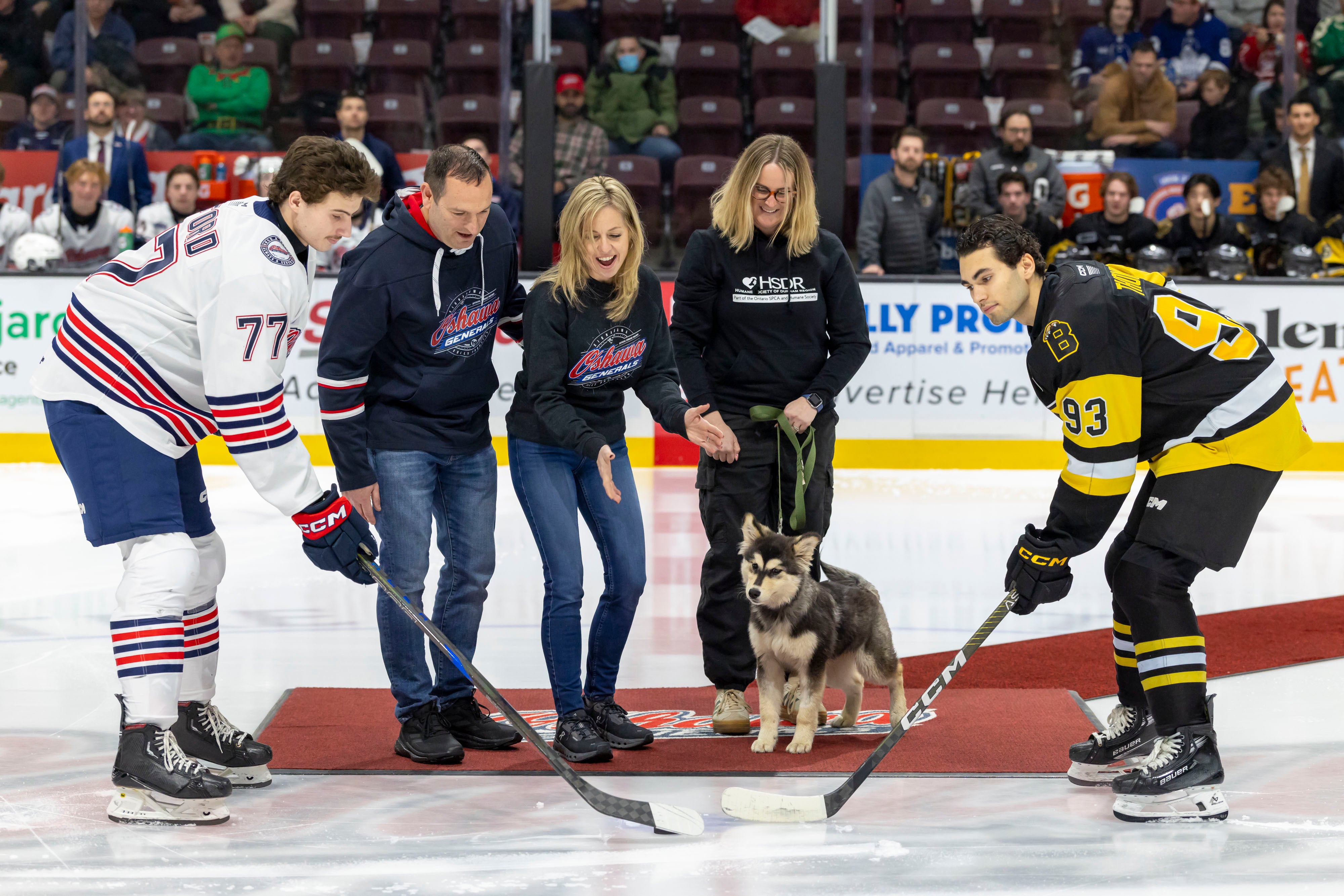 A Night to Remember with the Oshawa Generals & Durham Region Humane Society!
