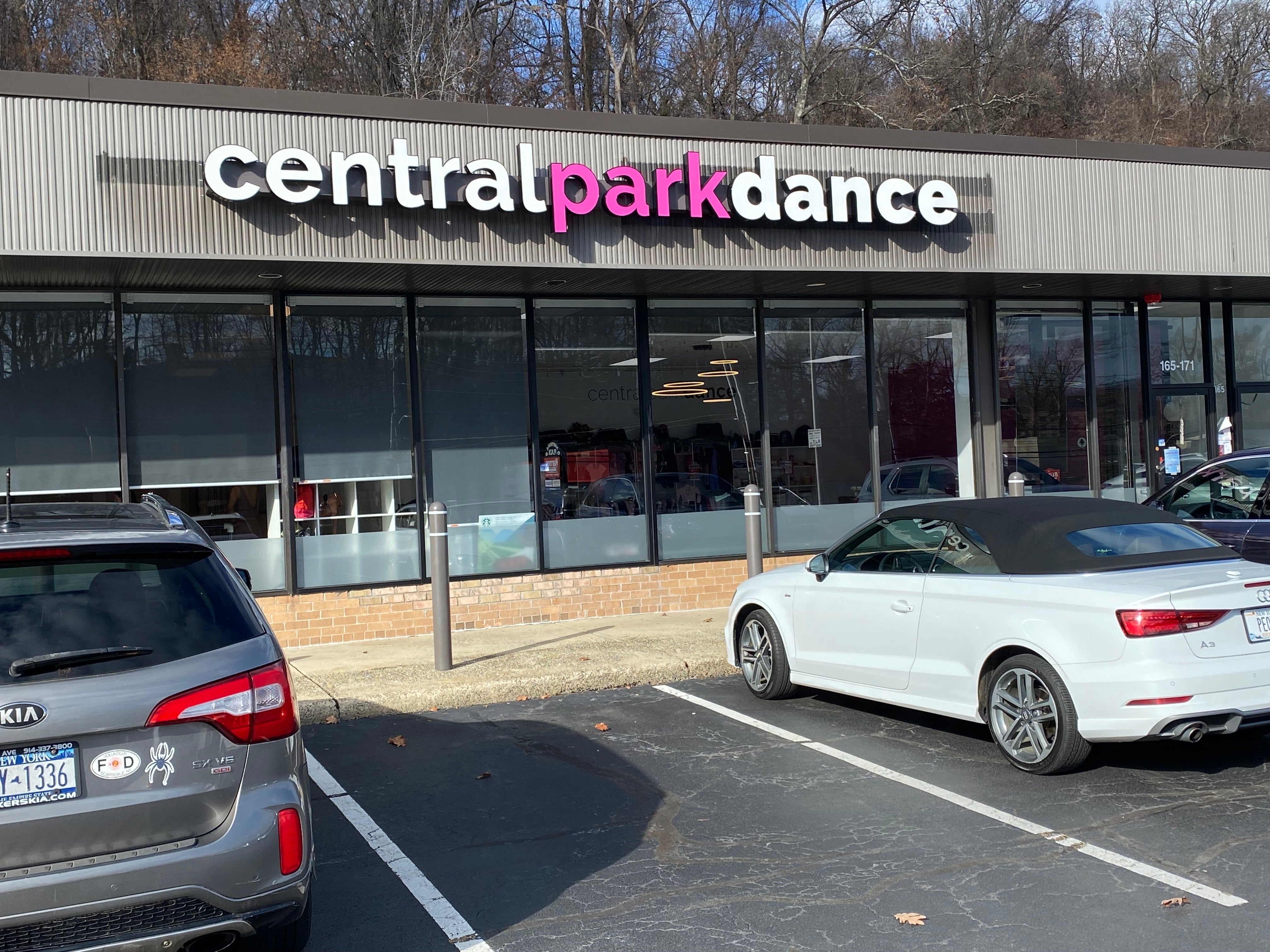 Custom channel letters for Central Park Dance, enhancing visibility and branding with vibrant, professional signage in Hartsdale