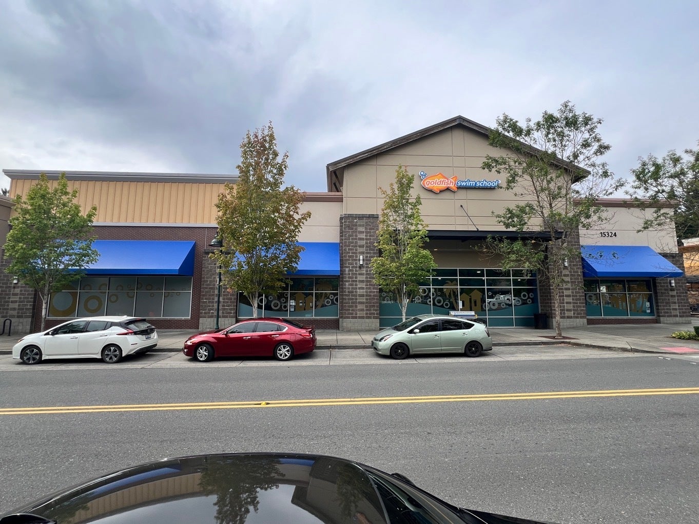 Goldfish Swim School Arrives in Mill Creek, WA - Storefront Signs - Window Graphics