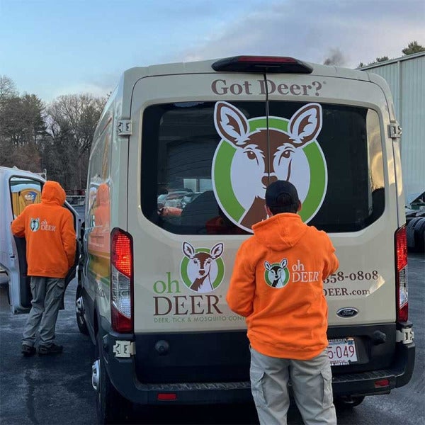 ohDEER Elevates Franchise Game with New Leadership Power Duo
