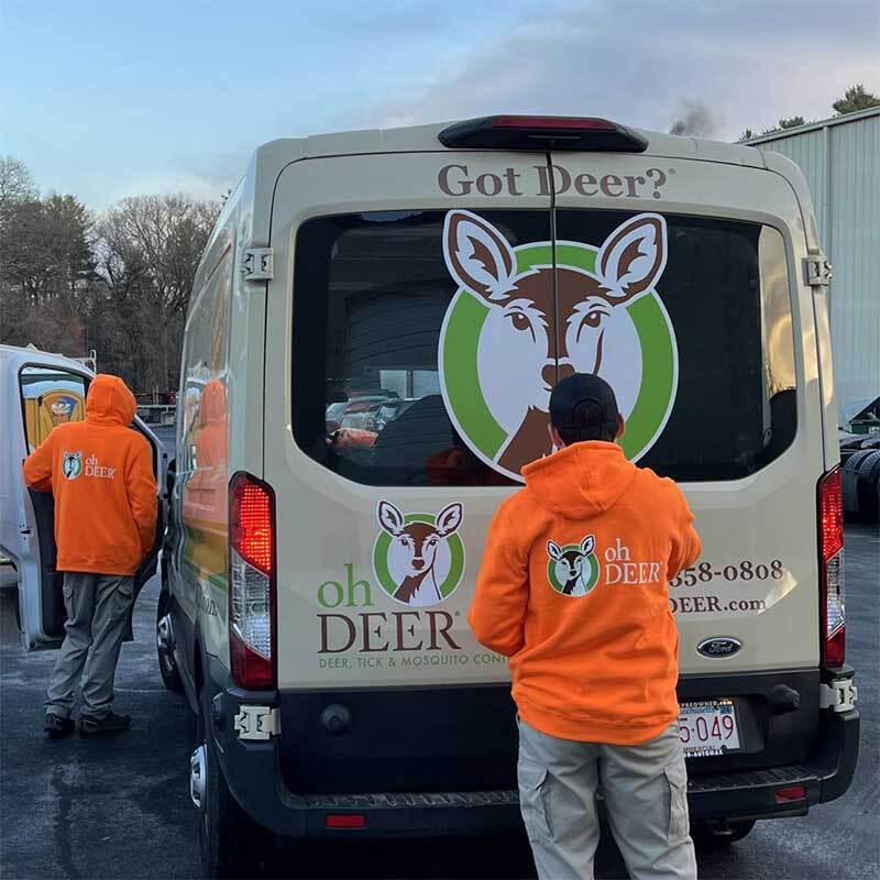 ohDEER Elevates Franchise Game with New Leadership Power Duo ohDEER Elevates Franchise Game with New Leadership Power Duo