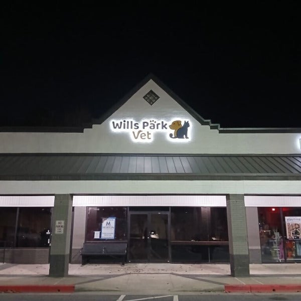Looking to make your business shine, day or night?