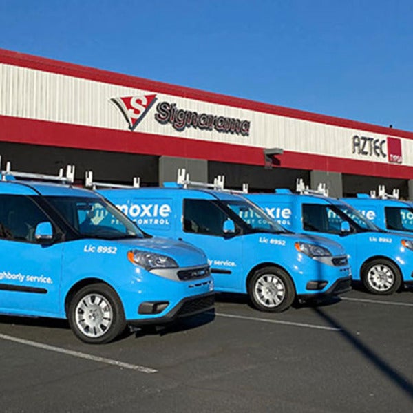 Fleet Graphics on the Eastside: A Guide to Mobile Branding
