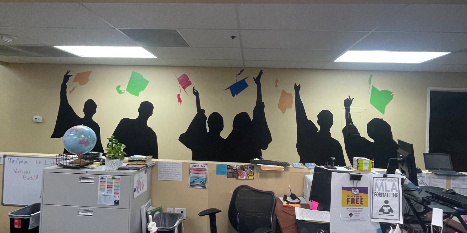 Custom Wall Murals