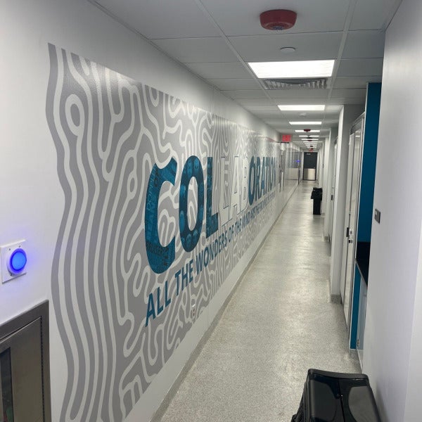 Transforming CMU's Hallways: Our Latest Installation