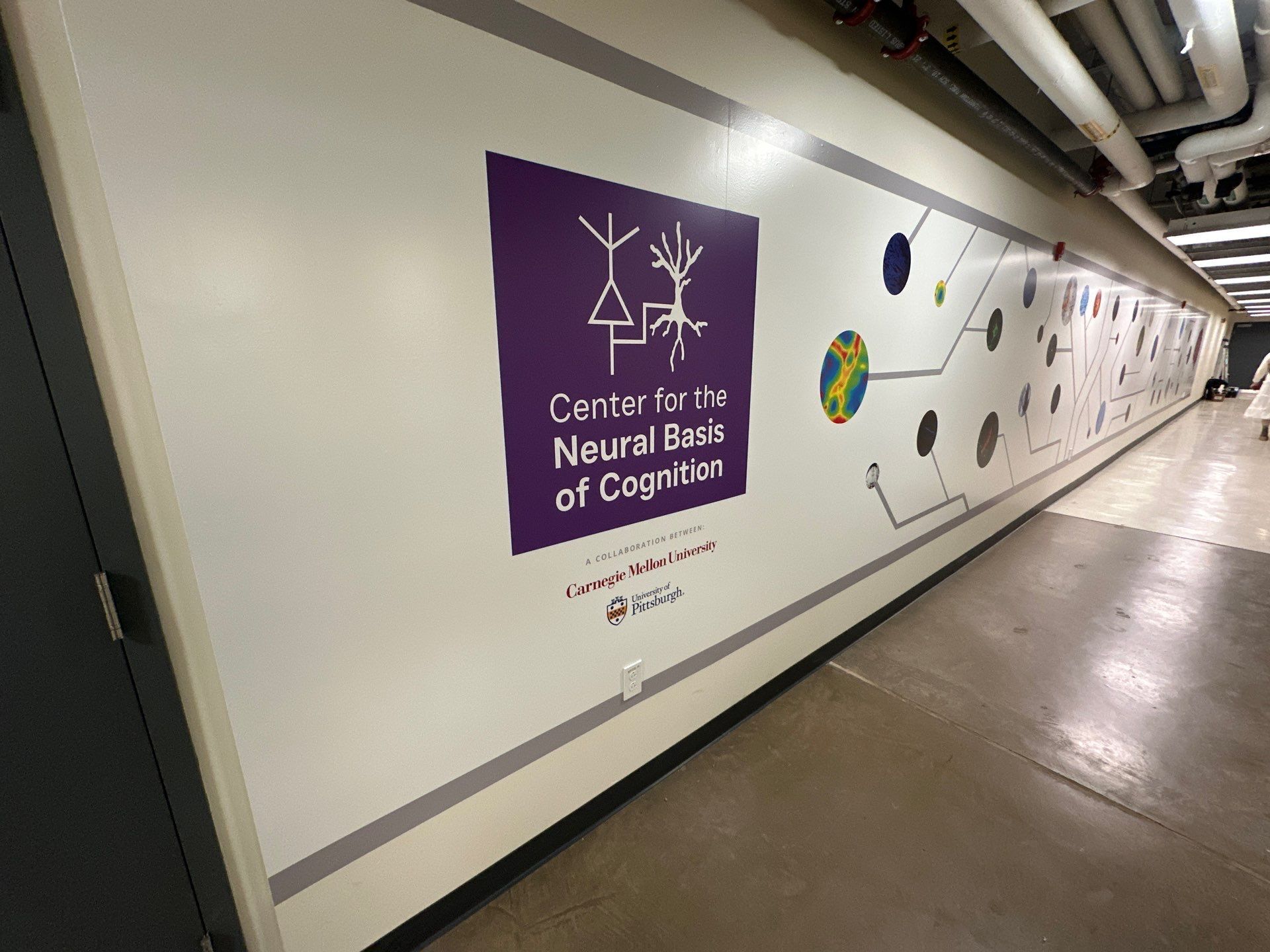 Transforming CMU's Hallways: Our Latest Installation