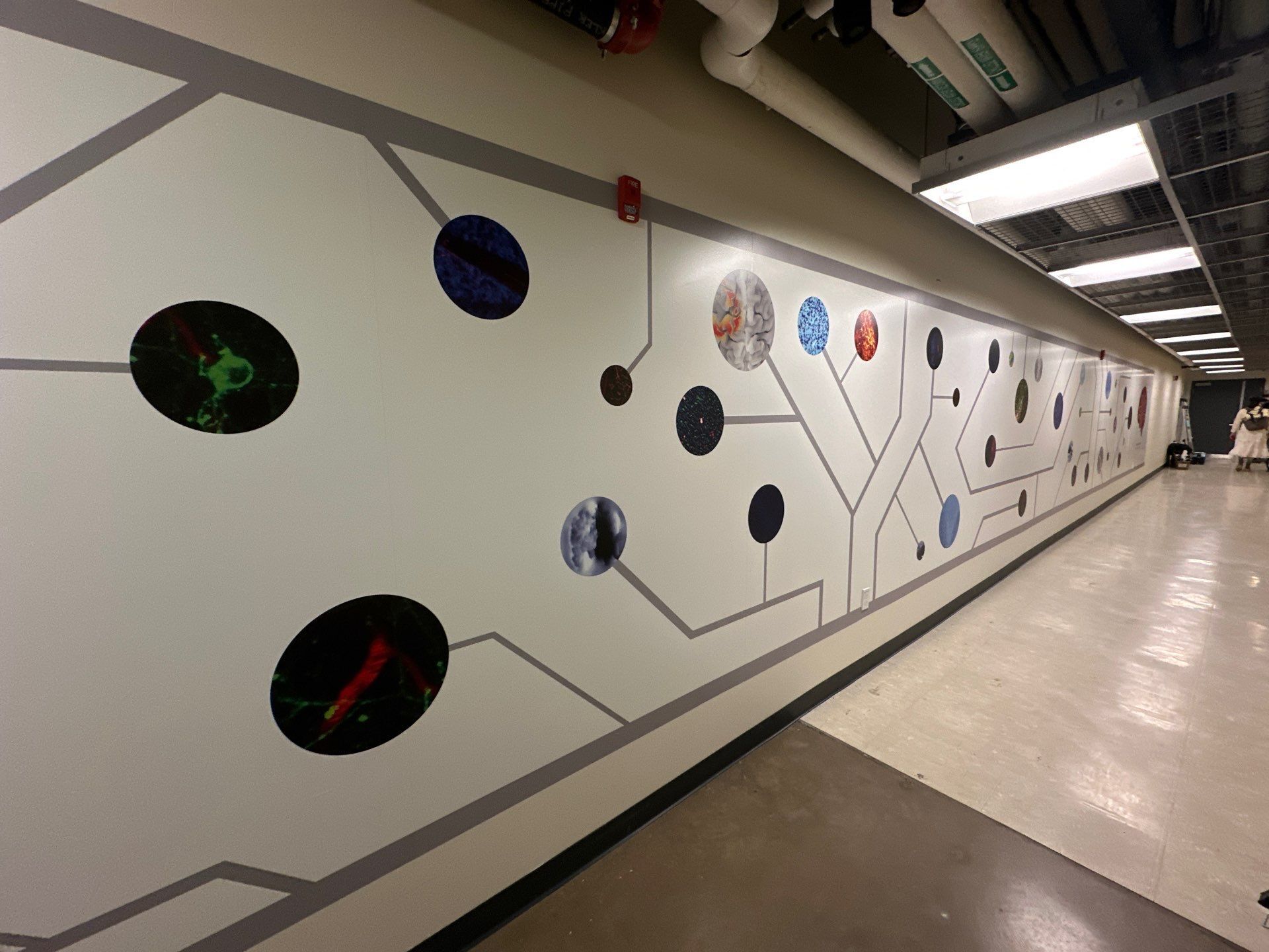Transforming CMU's Hallways: Our Latest Installation