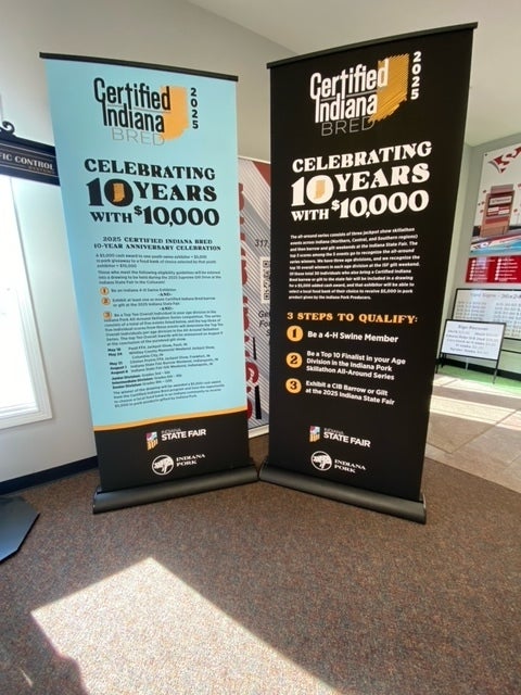 Retractable Banners