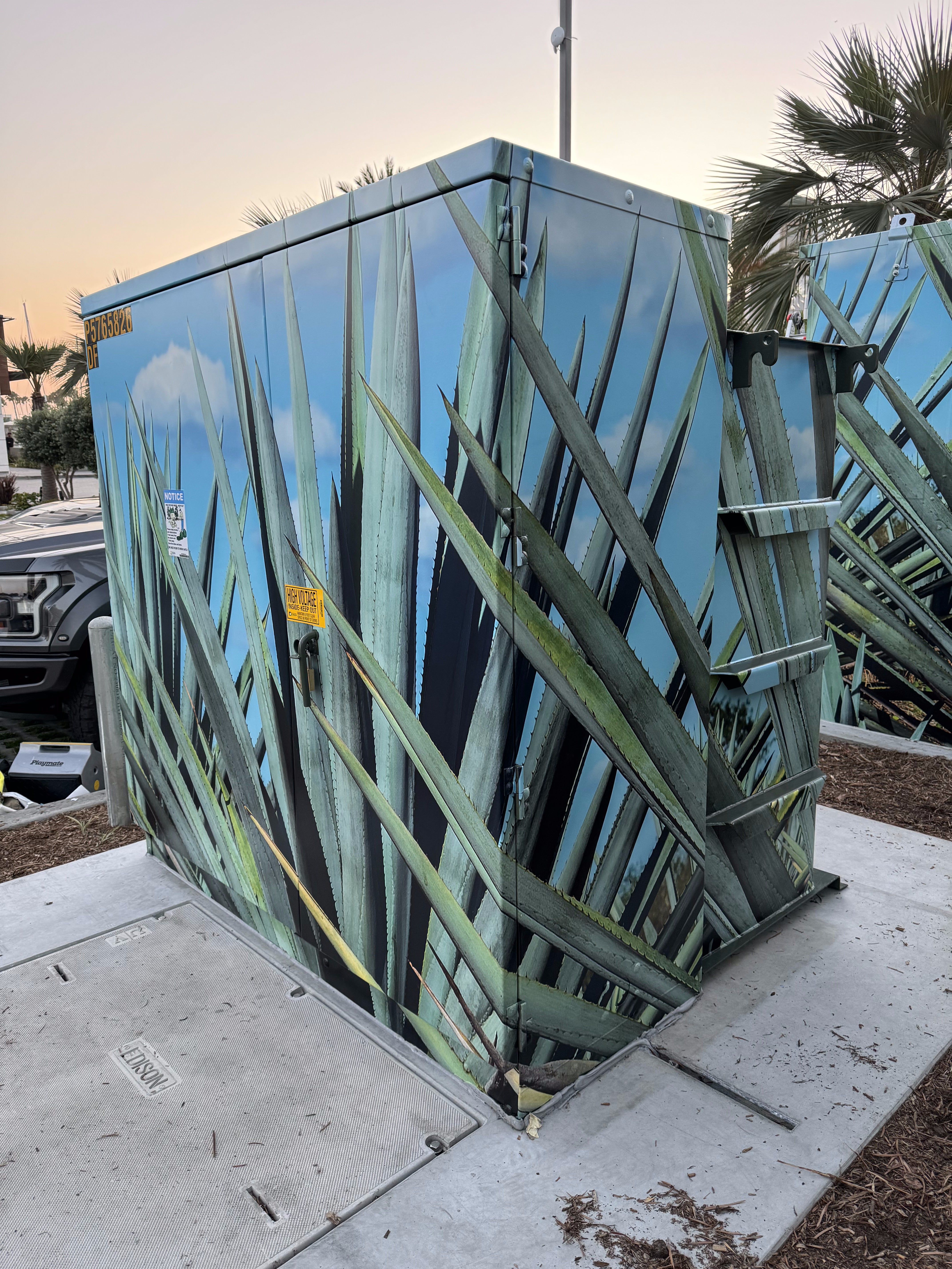 Tesla Agave Wrap