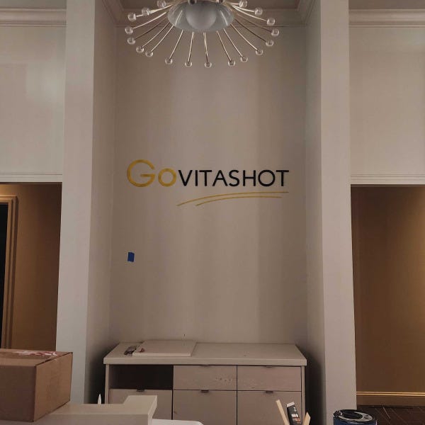 Westfarm mall govita wall graphics