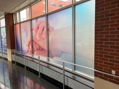 Window Graphics From Signarama Oklahoma City