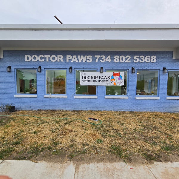 PVC Dimensional Lettering