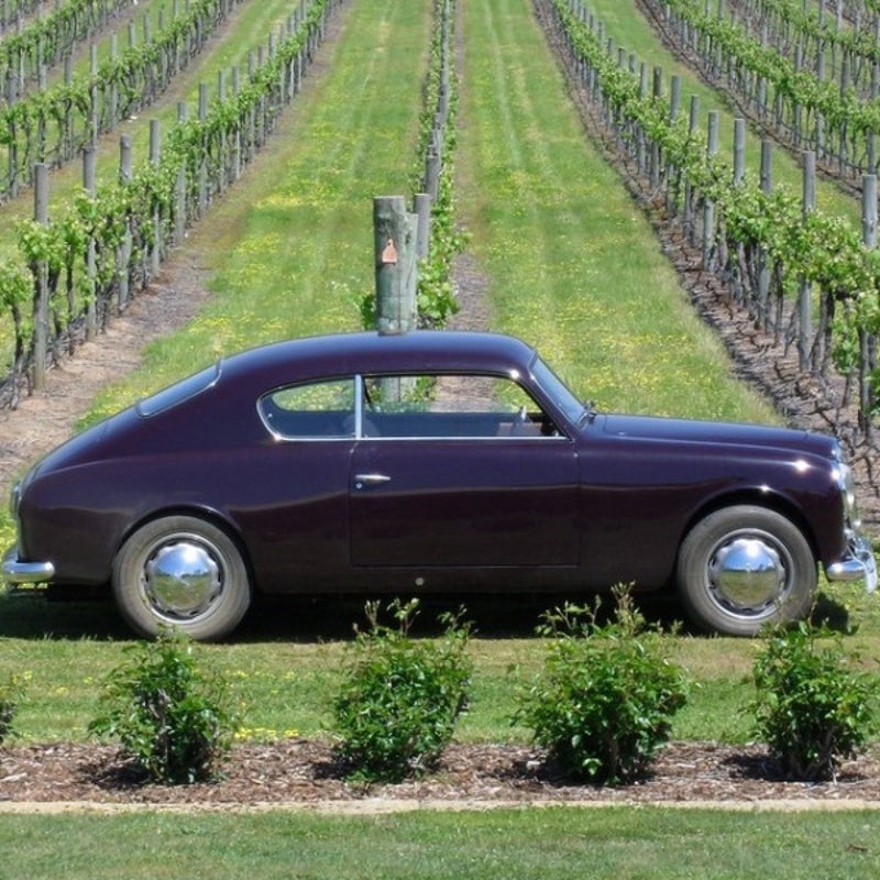 Fully Promoted Hawthorn