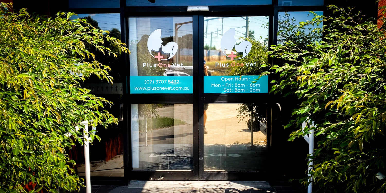 Room / Door Signs